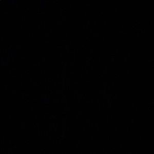 Meet your Posher, Trent